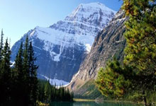 雷速直播- 西亚卡姆重返赛场，刷新纪录首场状态出色，日本队观众沸腾！赛场气氛高涨